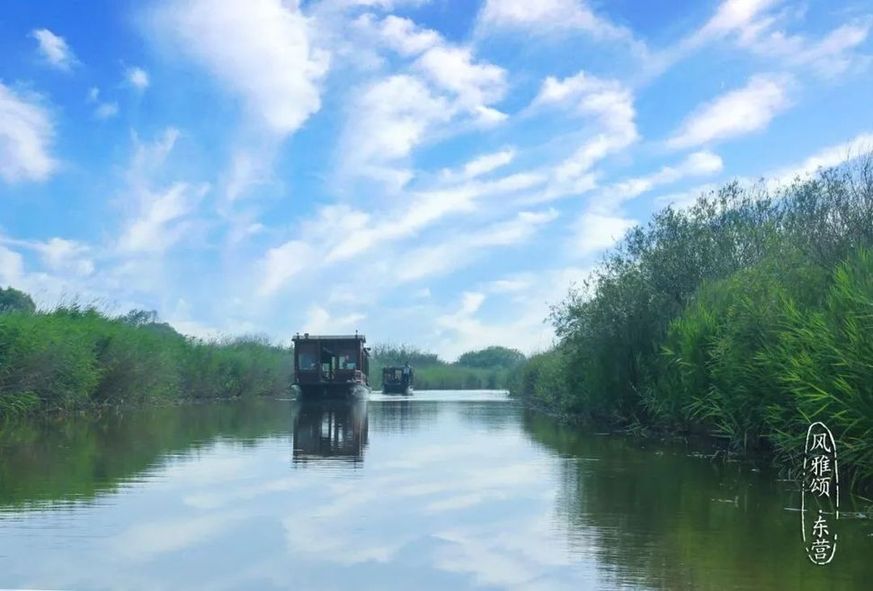 Beauty of the Yellow River Estuary Ecotourism Area