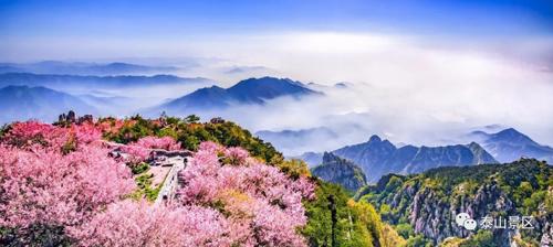 Beauty of Mount Tai