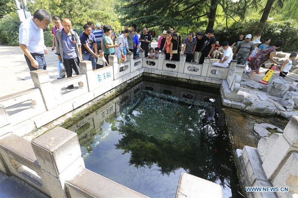 15th anniv of reactivation of springs marked in Jinan