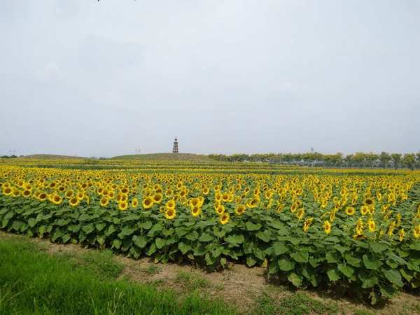 Embrace nature at Lanling National Agricultural Park