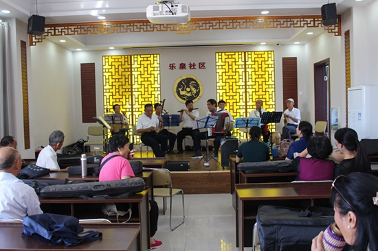 Village soars on erhu making