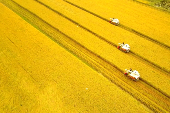 Beautiful Shandong captured in photos