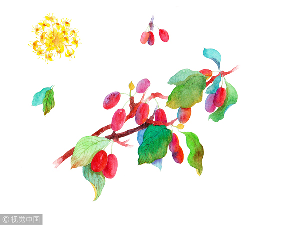Double Ninth Festival sees changes over the years