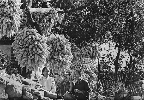 Photos record 40 years of changes in Yantai city