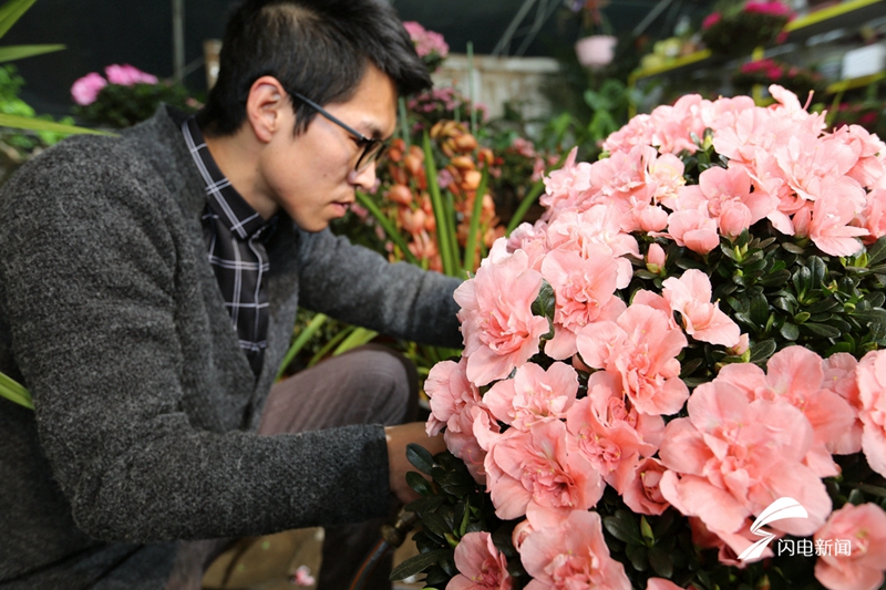 Flowers enjoy brick sales as Spring Festival approaches
