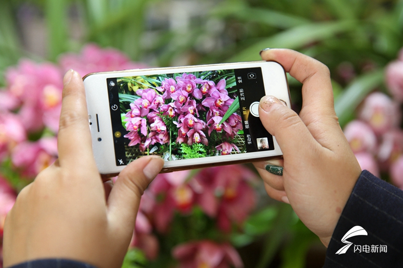 Flowers enjoy brick sales as Spring Festival approaches