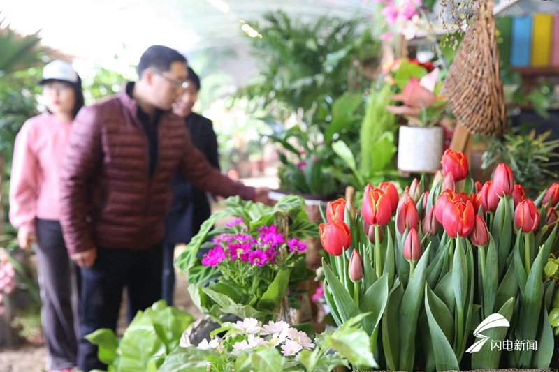 Flowers enjoy brick sales as Spring Festival approaches