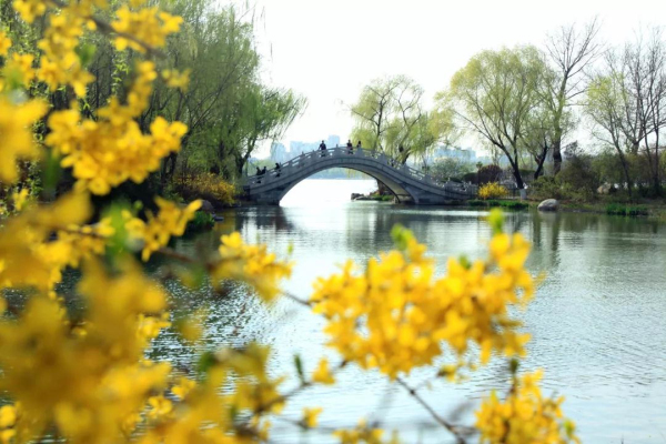 Colors of spring captured in Jinan