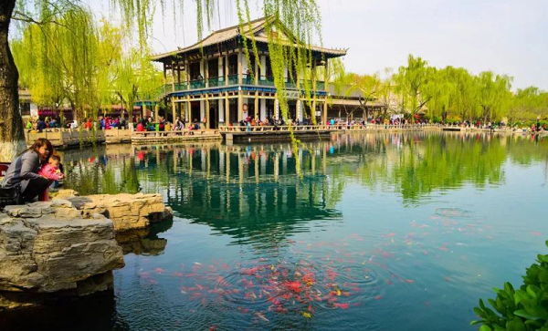 Colors of spring captured in Jinan