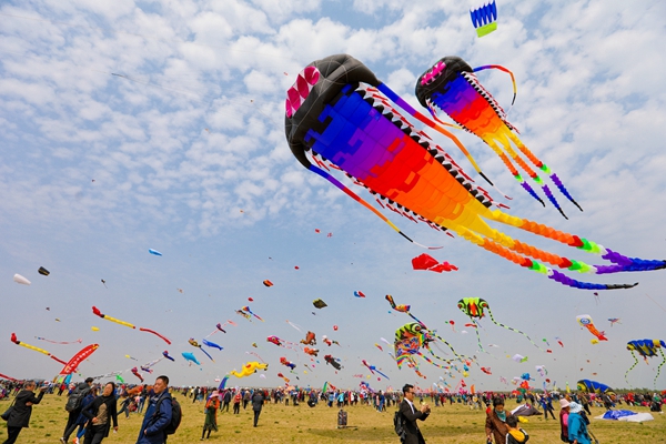 Weifang Intl Kite Festival attracts global kite enthusiasts