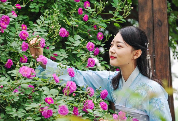 Enjoy outdoor leisure time in Taierzhuang Wetland Park