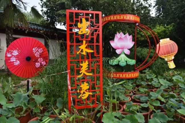 Annual lotus blossom art festival underway until Aug 14