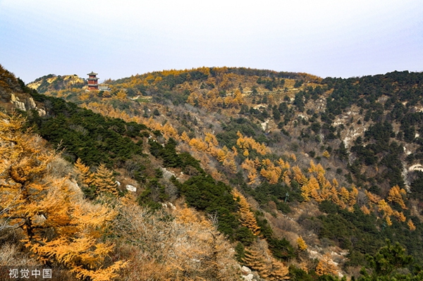 Mount Tai turns red and gold during autumn