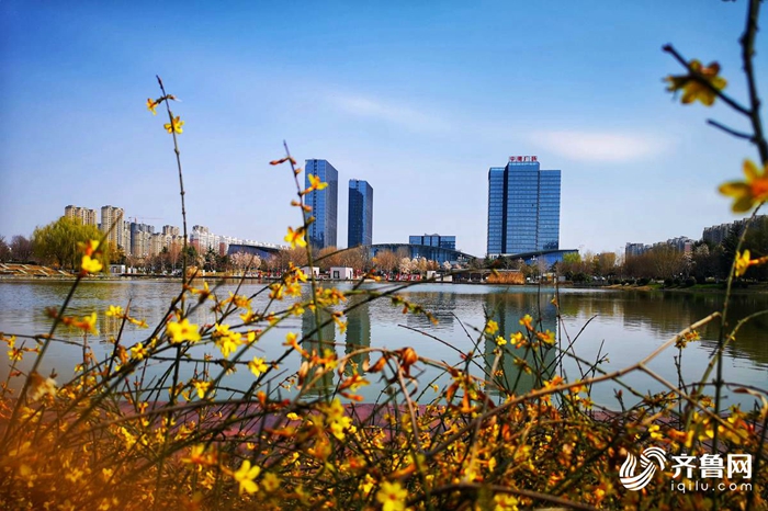 Spring flowers add vitality to Shandong