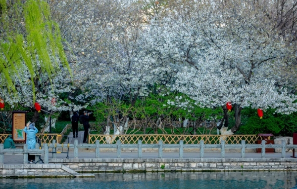 Shandong launches measures to boost culture, tourism sectors