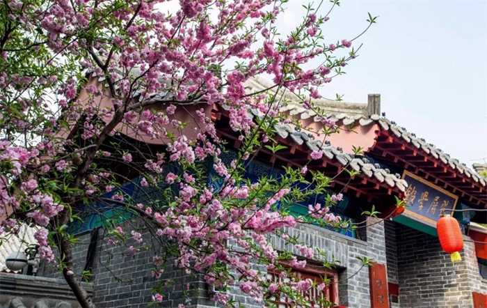 Visit Taierzhuang ancient town in flowery April