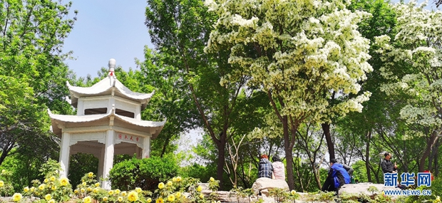 Shandong culture and tourism consumption season kicks off