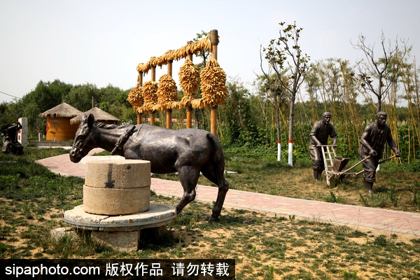 Shandong to build 1,000 scenic villages by 2022