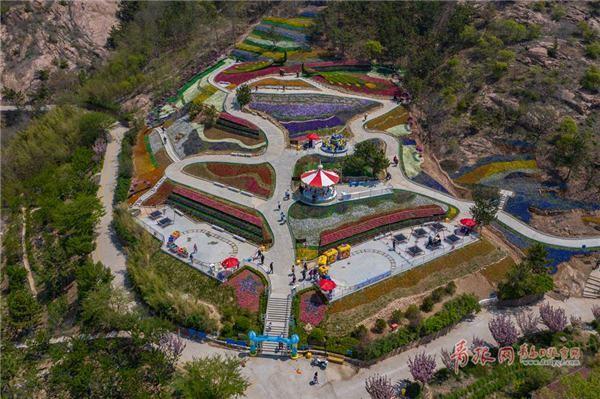 Qingdao flower expo opens