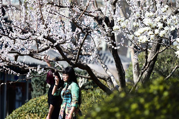 People enjoy thriving spring in Jinan City, Shandong province