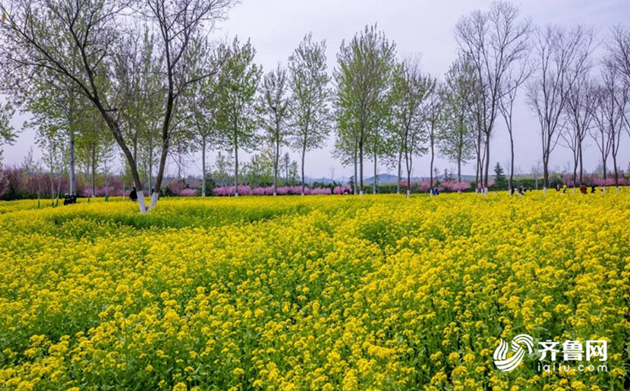 Shandong sees tourism boom over May Day holiday