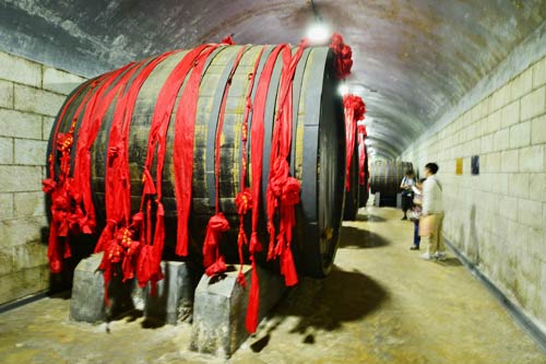 From vine to wine in Yantai
