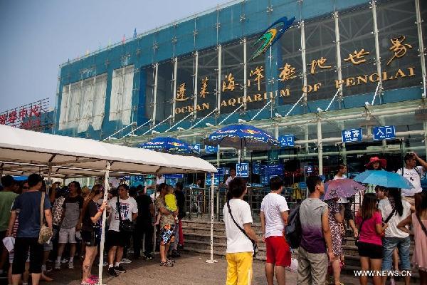 Tourists visit the ocean aquarium of Penglai