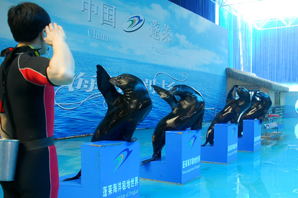 Ocean Aquarium of Penglai