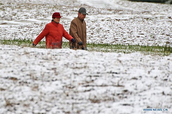 E China's Yantai greets 1st snow of this winter