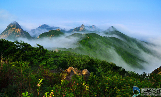Yantai wins title of 'National Forest City'