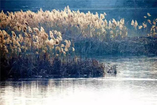 Early winter scenes on Yantai's Jiahe River