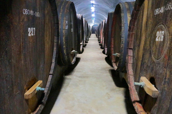 Yantai's wine industry becomes destination for wine and business tourism