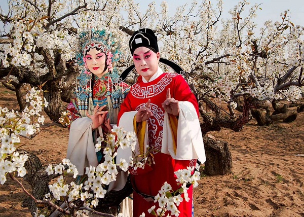 In pics: when Peking Opera meets pear blossoms