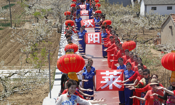 Cheongsam beauties welcome pear blossom festival