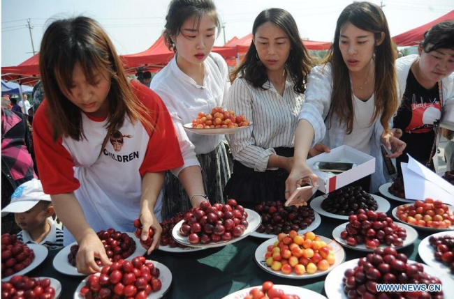 Farmers present cherries in fruit competition in Yantai