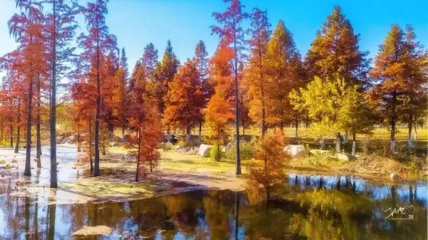 Picturesque Yuniao River in Yantai