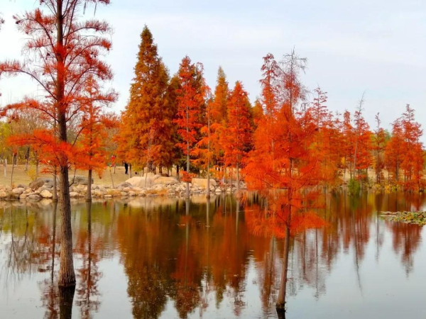 Picturesque Yuniao River in Yantai