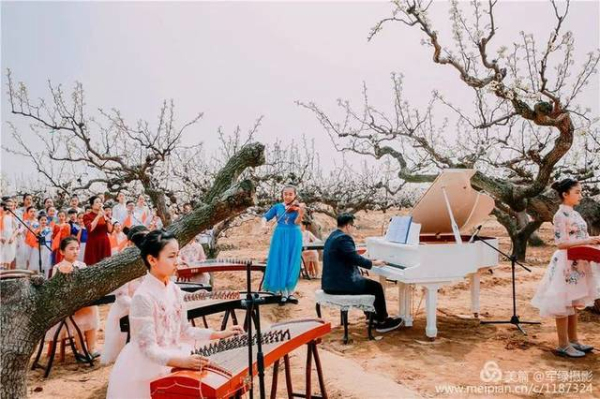 Laiyang pear blossoms festival conmes to Yantai