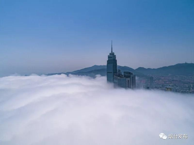 Advection fog blankets Yantai