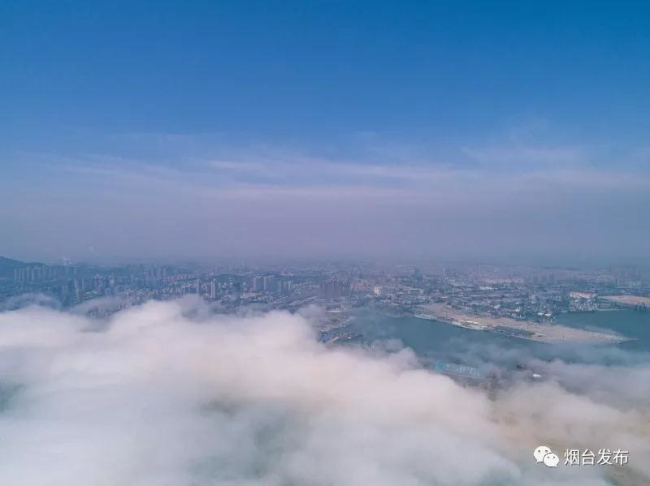 Advection fog blankets Yantai