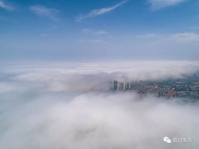 Advection fog blankets Yantai