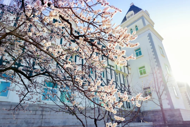 Breathtaking spring scenery of Chateau Changyu Castle