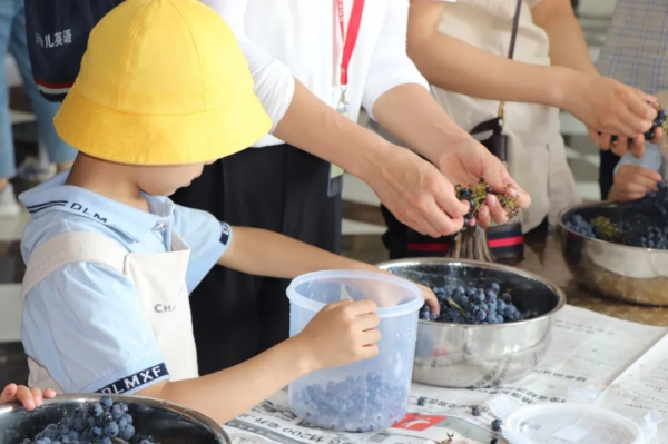 Taste fresh grapes at Chateau Junding