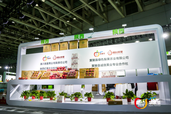 In pics: Yantai intl apple festival lures foreign visitors