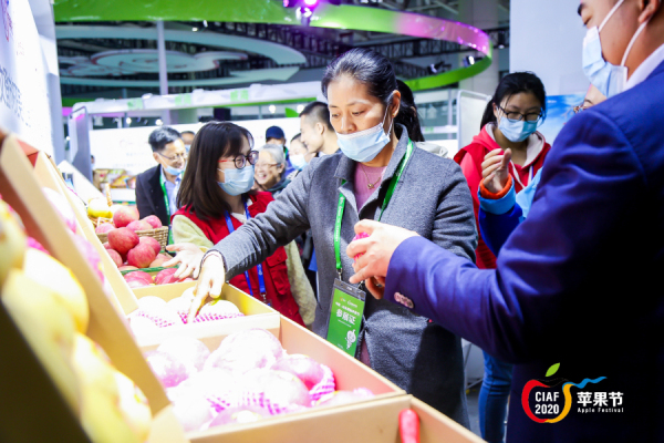 In pics: Yantai intl apple festival lures foreign visitors