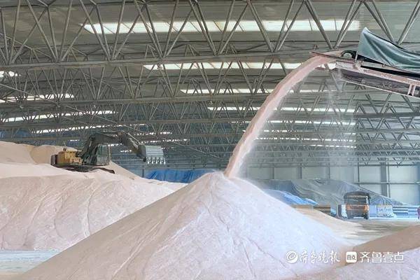 Yantai Port enters peak fertilizer handling season