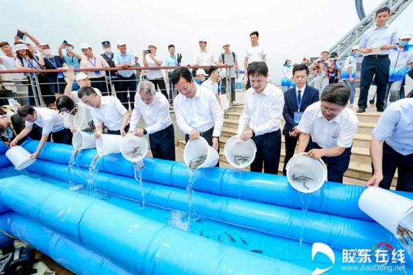 Yantai, South Korea host fish-release activity