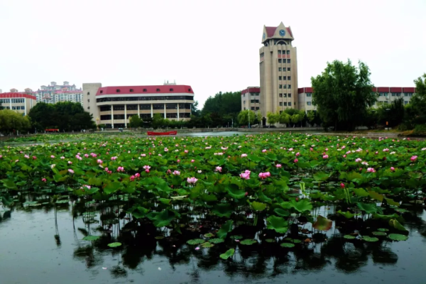 Places to enjoy lotus flowers in Yantai