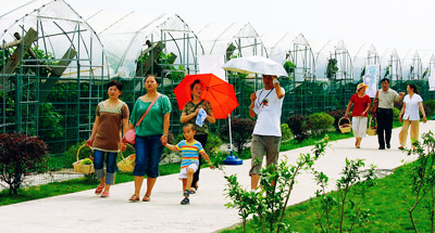 Festival: Shanghai Malu Grape Festival