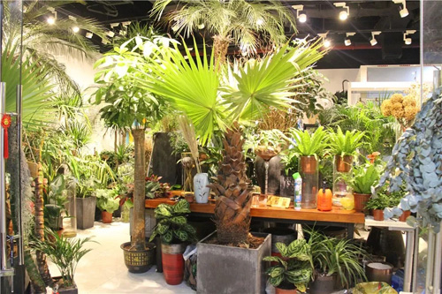 Renovated Jiading shopping mall to reopen